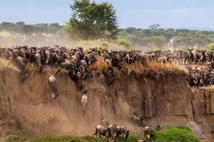 Nairobi City Highlights & Maasai Mara Safari Tour2